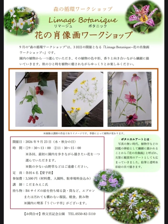 9月23日に開催の、秩父宮記念公園の植物を描く『森の循環ワークショップ「Limage Botanique 花の肖像画ワークショップ」』は、好評のため今年も定員に達しました。

秩父宮記念公園では8月下旬から30℃を下回る涼しい気温が続き、例年よりも秋の花の開花が半月ほど早く進んでおります。
園内ではシュウカイドウなどが見頃を迎えております。

 #秩父宮記念公園
 #茅葺母屋
 #森の循環ワークショップ
 #ボタニカルアート
 #秋海棠